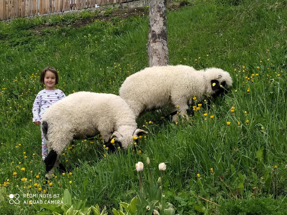 Agriturismo Luech Picedac La Valle Kültér fotó