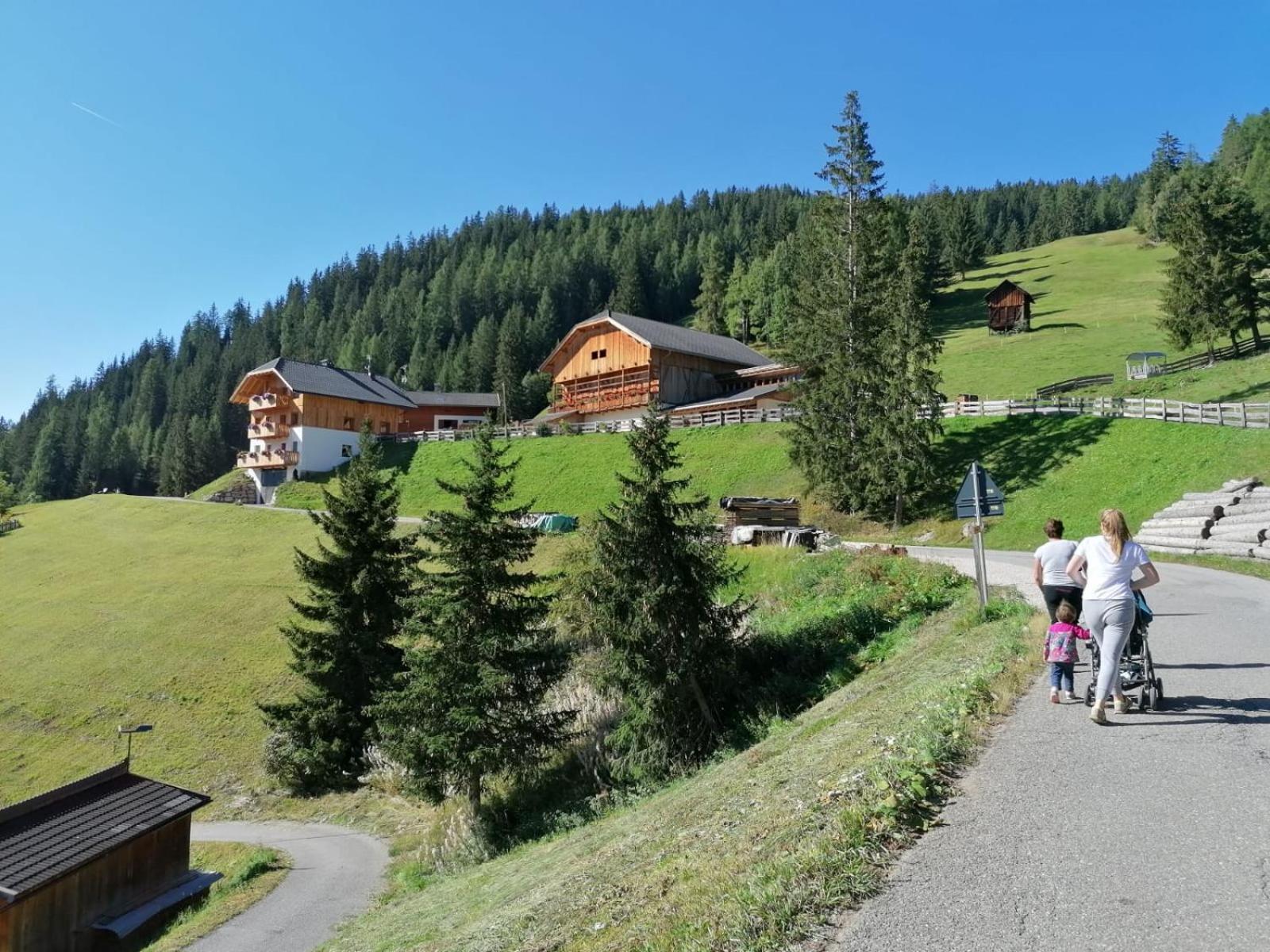 Agriturismo Luech Picedac La Valle Kültér fotó